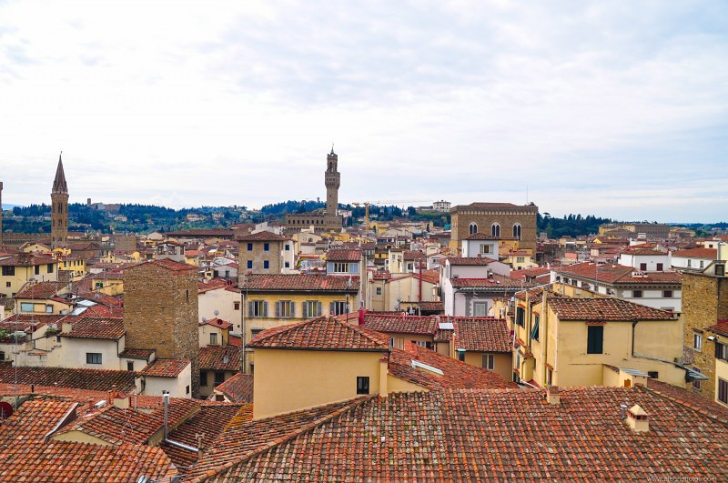 Firenze building rooftops free photo