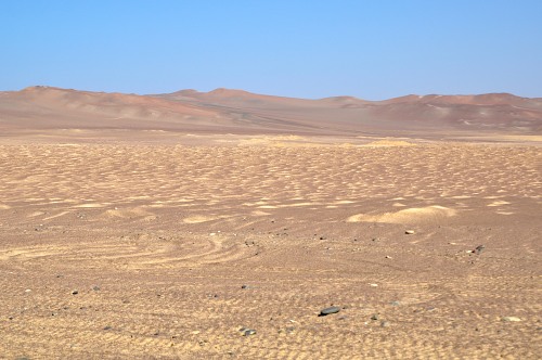 Arid desert in Paracas Peru free photo