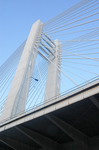 Central pylon and span on a modern bridge free photo