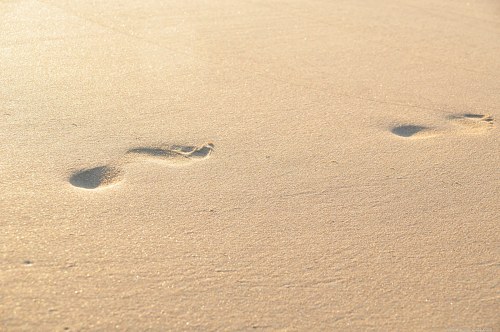 Foot tracks on wet sand free photo
