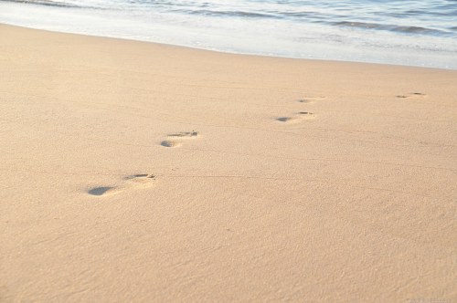 Footsteps on beach towards sea free photo