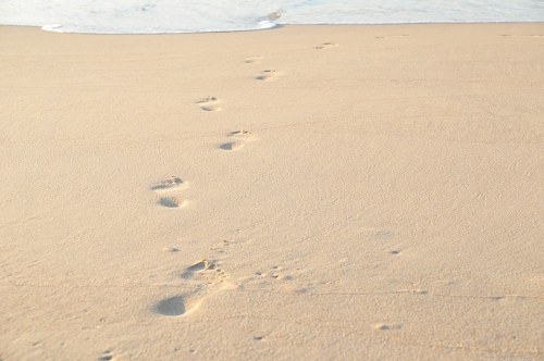 Footsteps on beach free photo