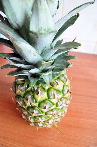 Fresh pineapple free photo