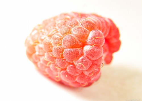 Fresh raspberry fruit on white free photo