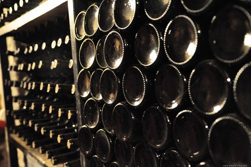 Row of wine bottles in cellar free photo