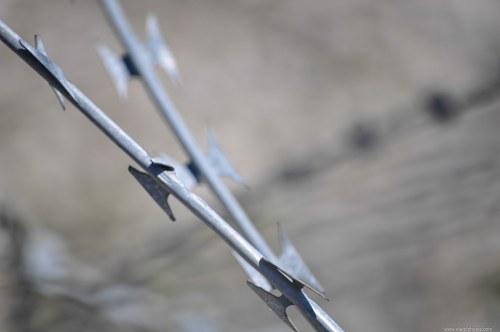 Security barbed wire free photo
