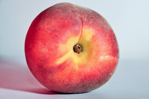 Single  peach free photo