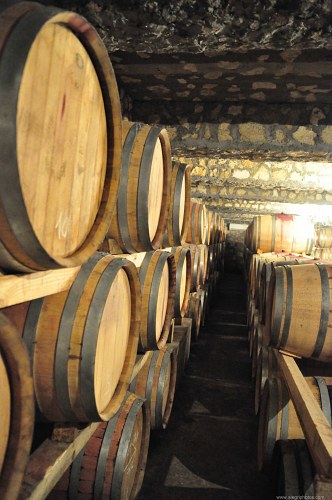 Stacks of wine wooden barrels free photo