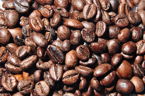 Top view of coffee beans free photo