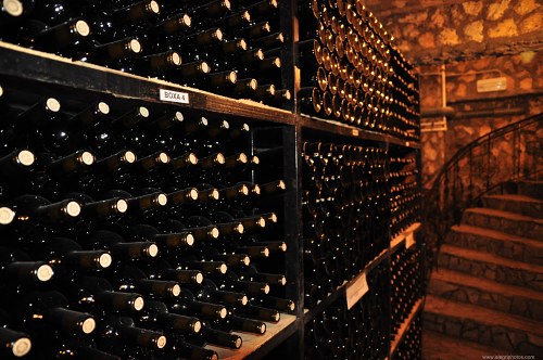Wine cellar shelves free photo